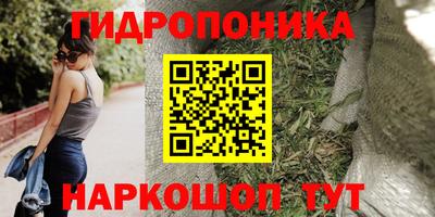 спайс Кулебаки