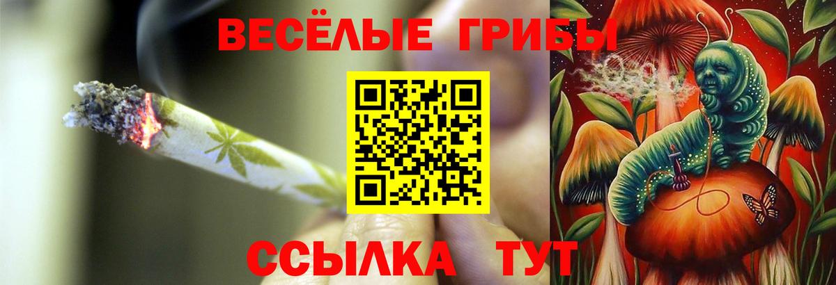 Волжск  Галлюциногенные грибы мухоморы  Вход с VPN 